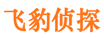 青川市侦探调查公司